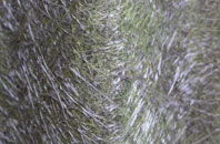 Hipswell fibreglass roof work